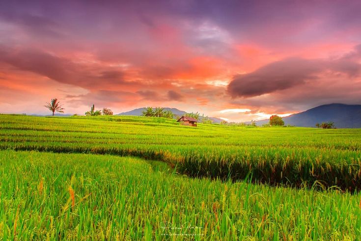 Ảnh số 4 từ thư mục img