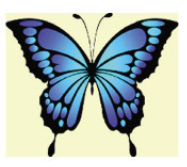 Ảnh số 4 từ thư mục img