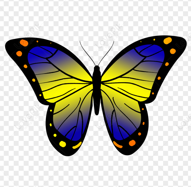 Ảnh số 1 từ thư mục img