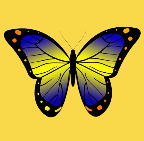 Ảnh số 2 từ thư mục img